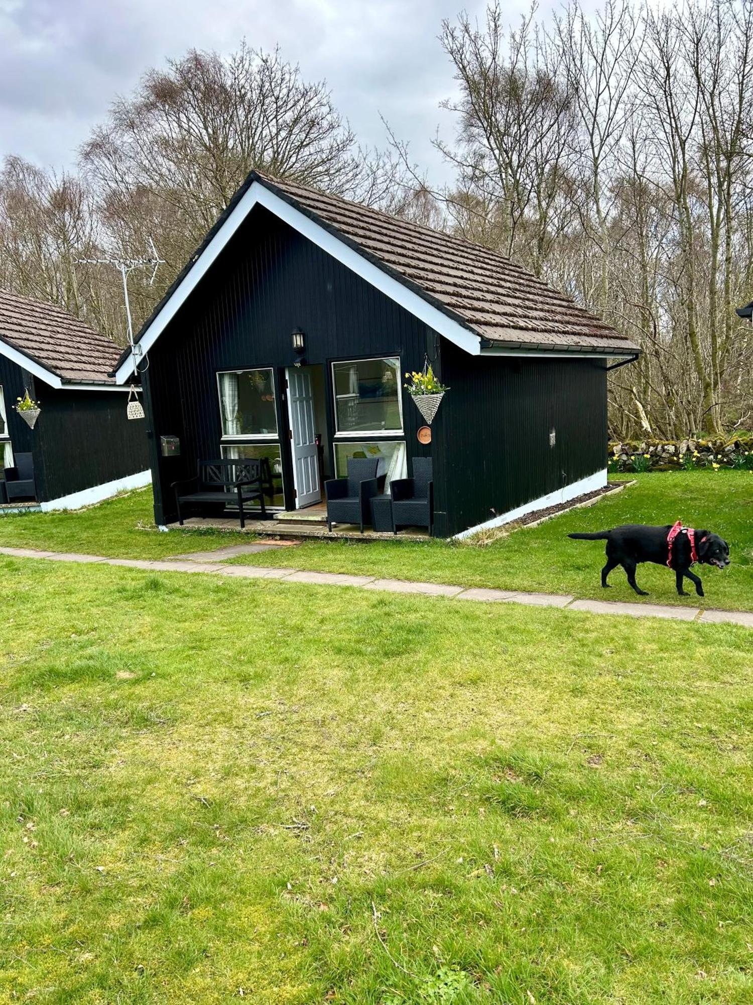 Kilcoy Chalets موير أوف أورد المظهر الخارجي الصورة